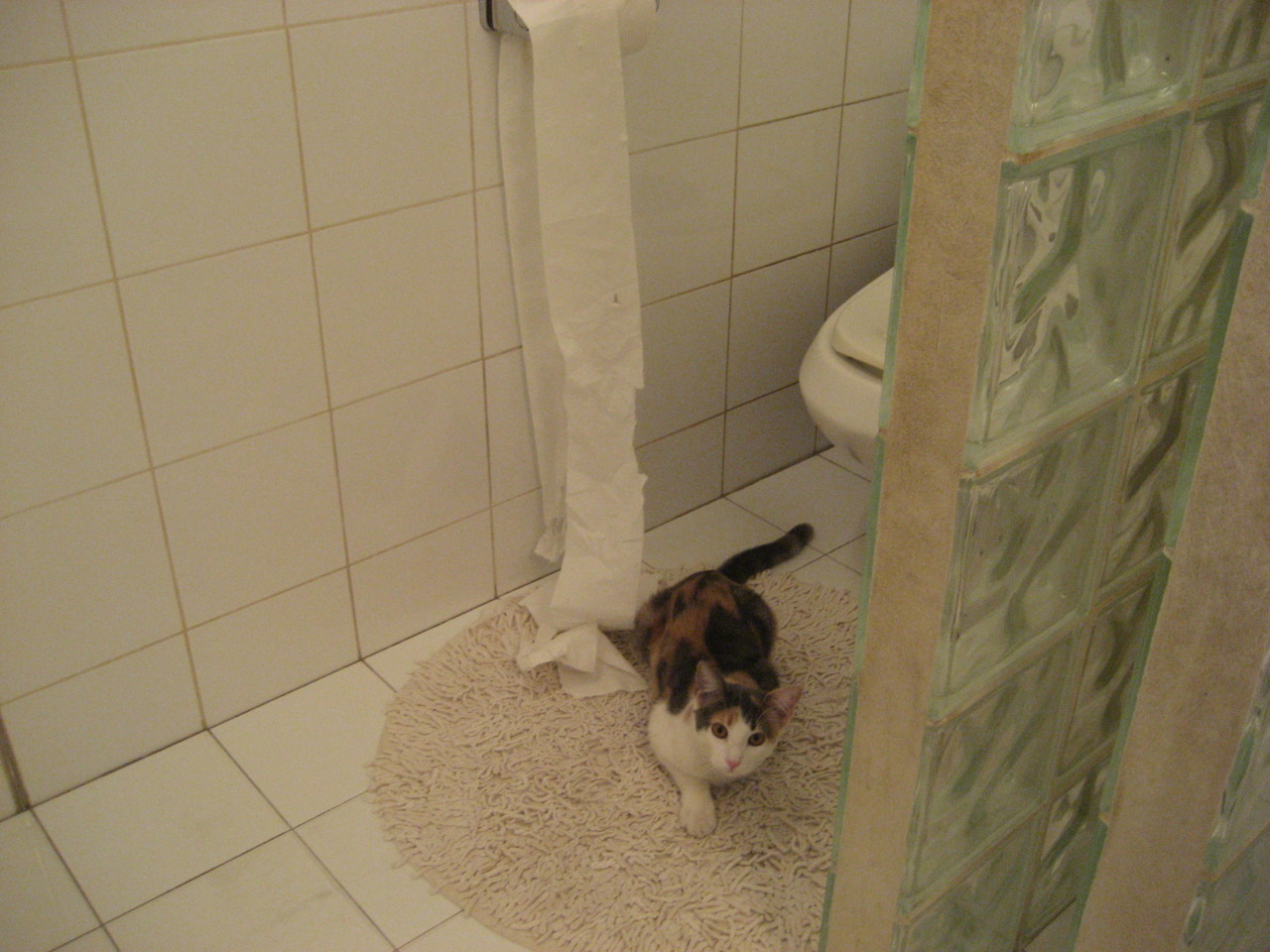 爱游戏娱乐平台-锡安统治内线鹈鹕战胜公牛，锡安nba百度百科