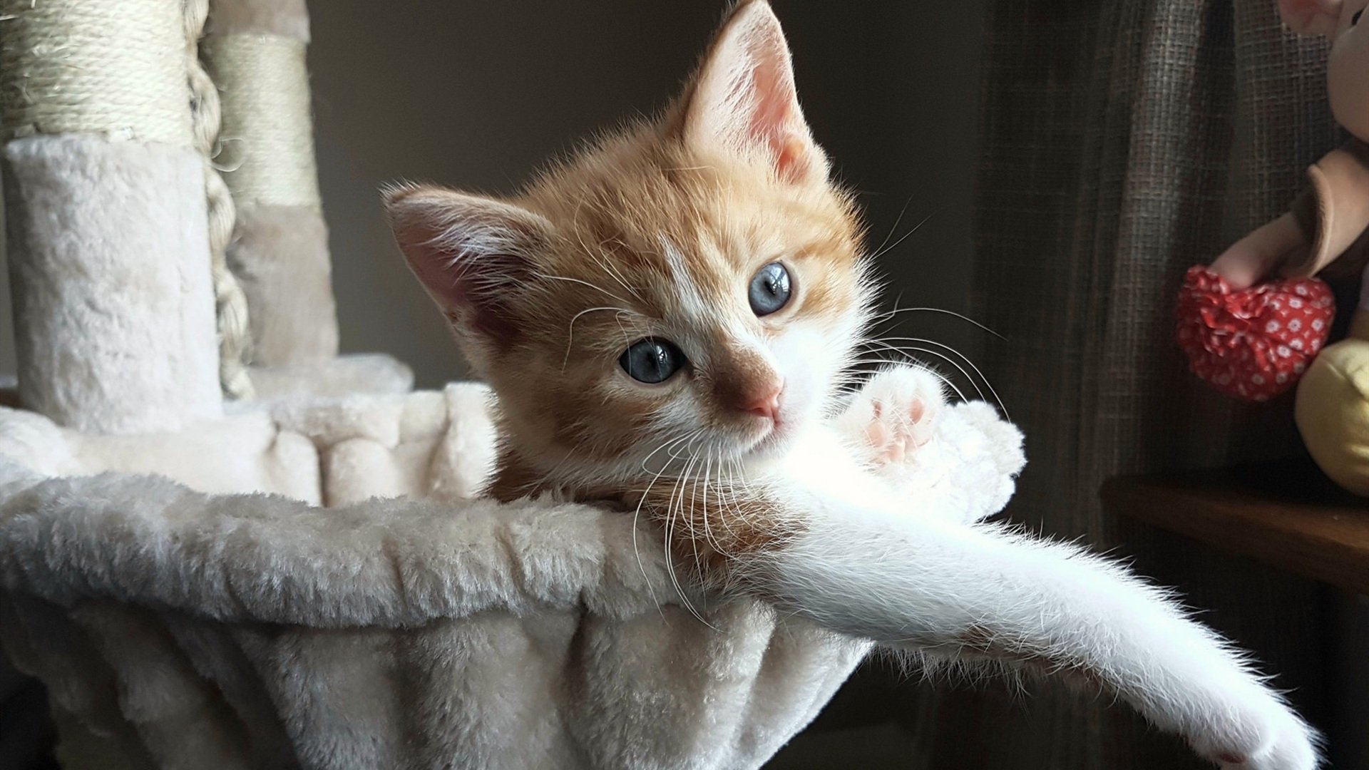 篮球专项技能创新训练方法研究，篮球专项技能创新训练方法研究报告