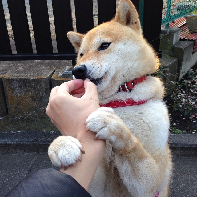 爱游戏体育APP下载-“天府新区沙滩手球赛：运动员挑战极限速度”