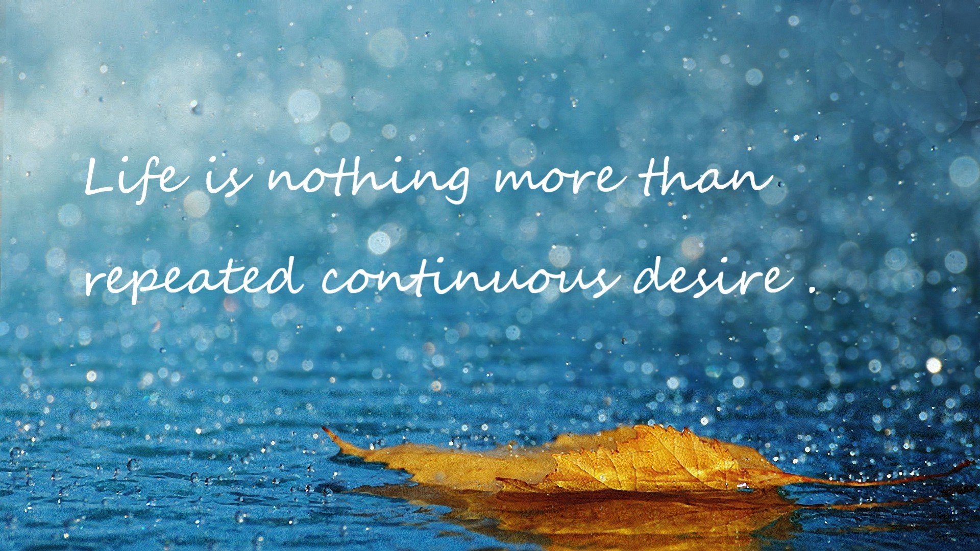 全国田径训练营主打专项能力模块训练,田径训练营报名