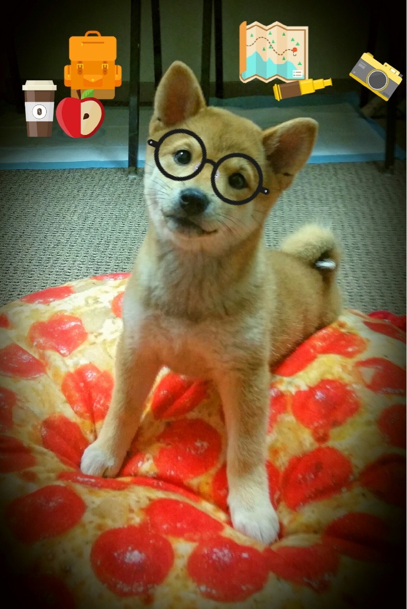 奥运备战科学训练成效显著,备战奥运会训练计划