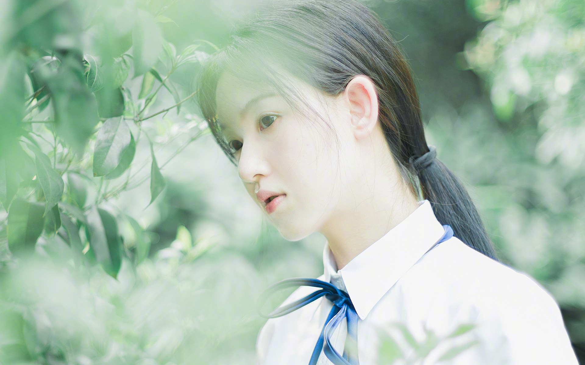 波尔宣布退役，乒坛送别传奇，乒乓 波尔