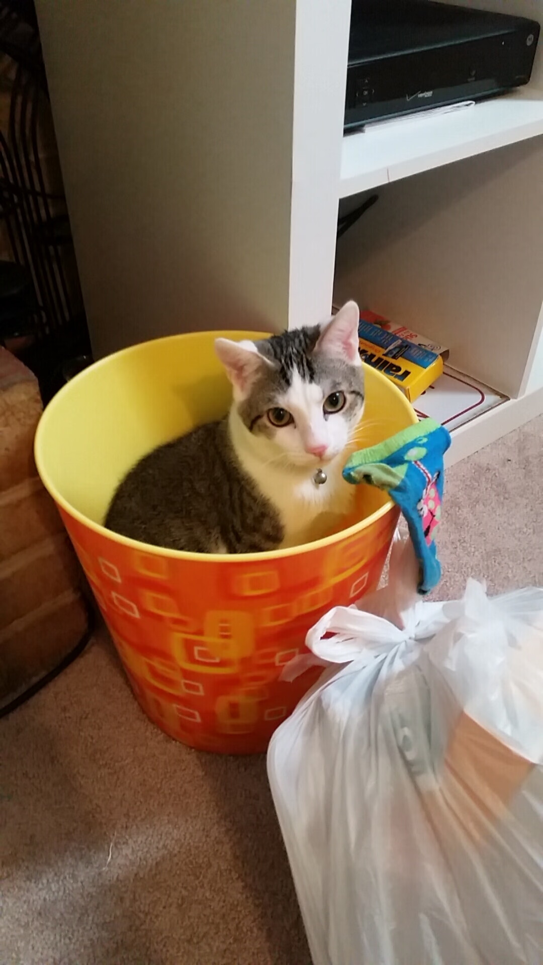 AYX GAMING-足球社交媒体运营能力不足，足球媒体可信度排名懂球帝