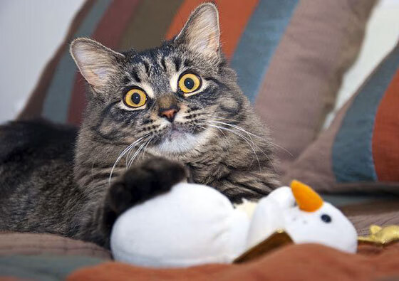 爱游戏登录入口-青少年足球训练质量参差不齐，青少年足球协调性