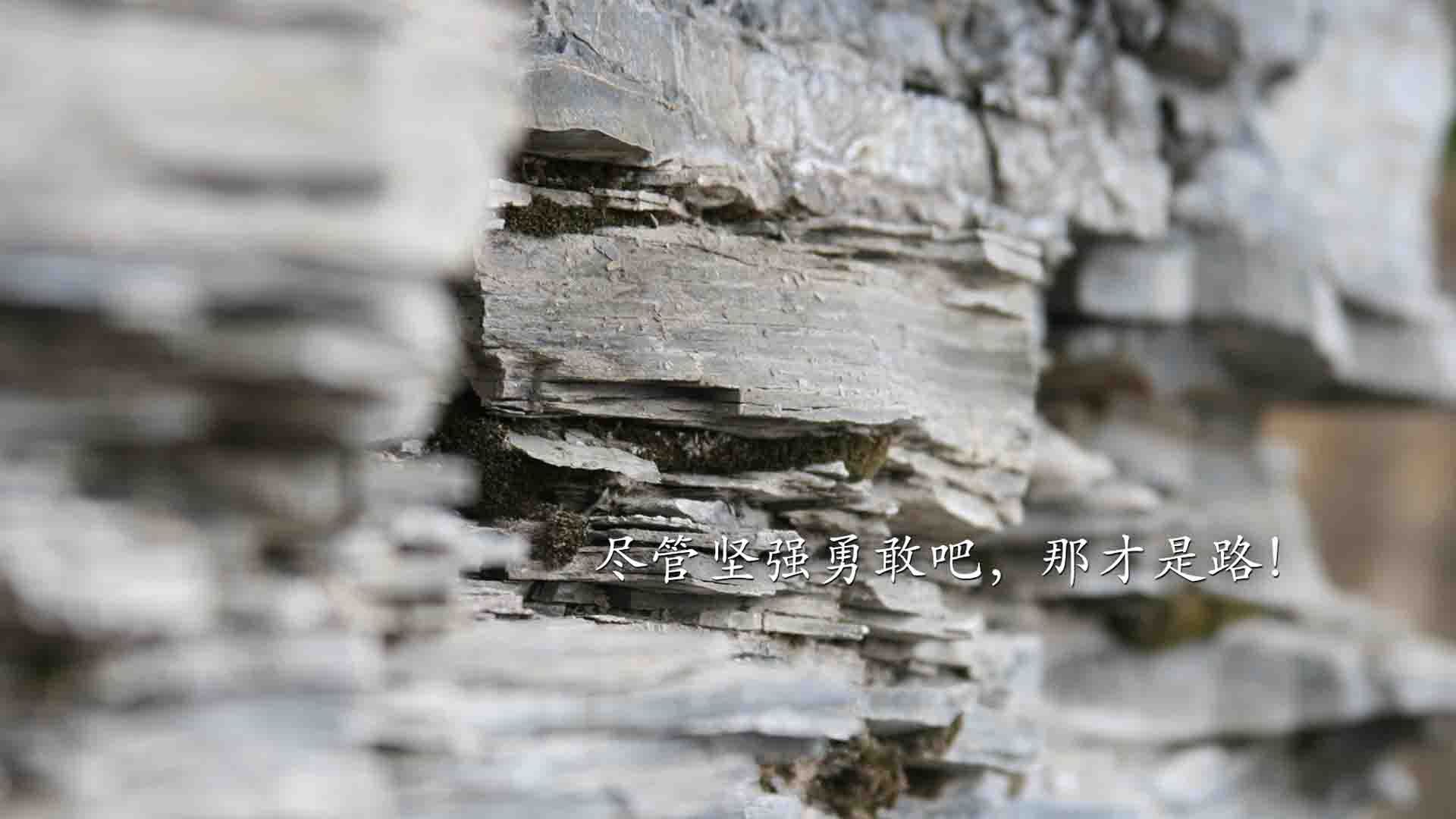 -德甲场面火爆：攻守精彩回放不断，德甲现场