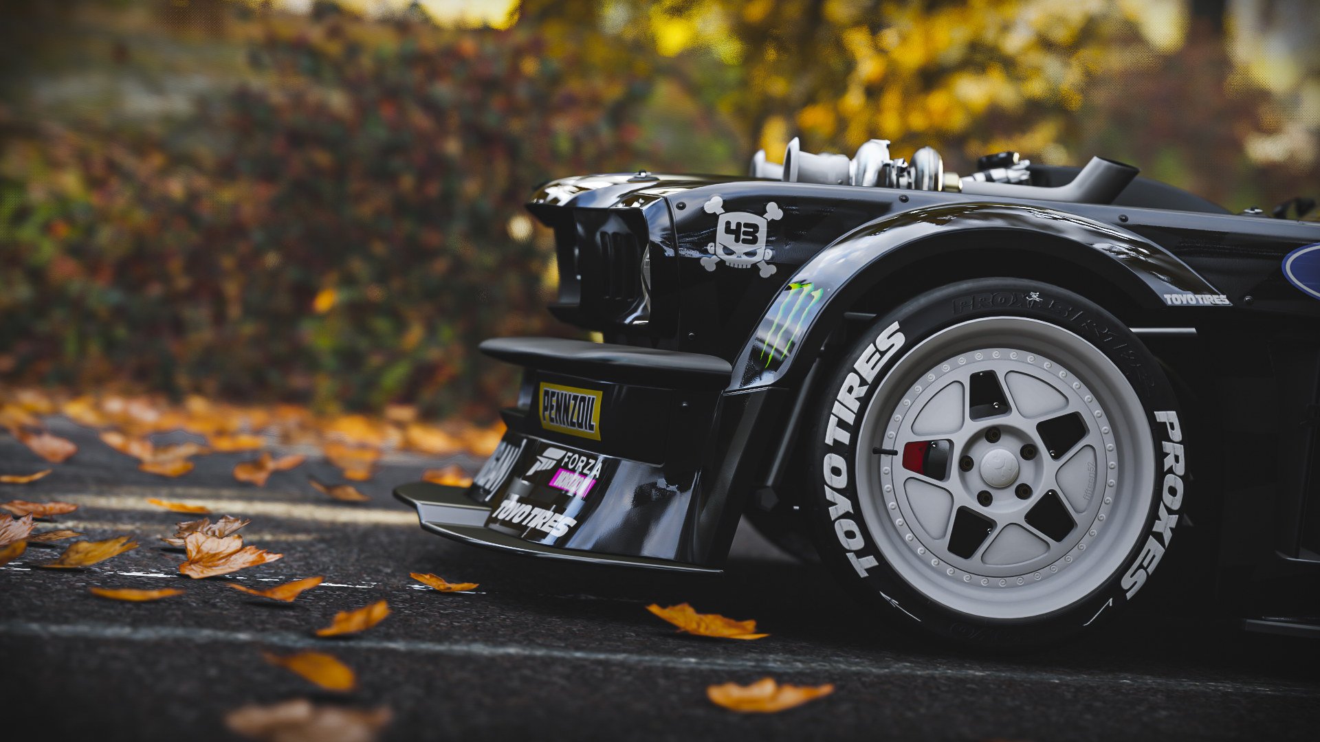 澳大利亚袋鼠队再度崛起,目标锁定橄榄球冠军,澳大利亚袋鼠强壮