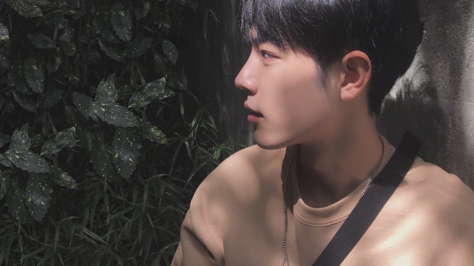 职业联赛推出球迷创作计划鼓励原创表达参与，球迷标语